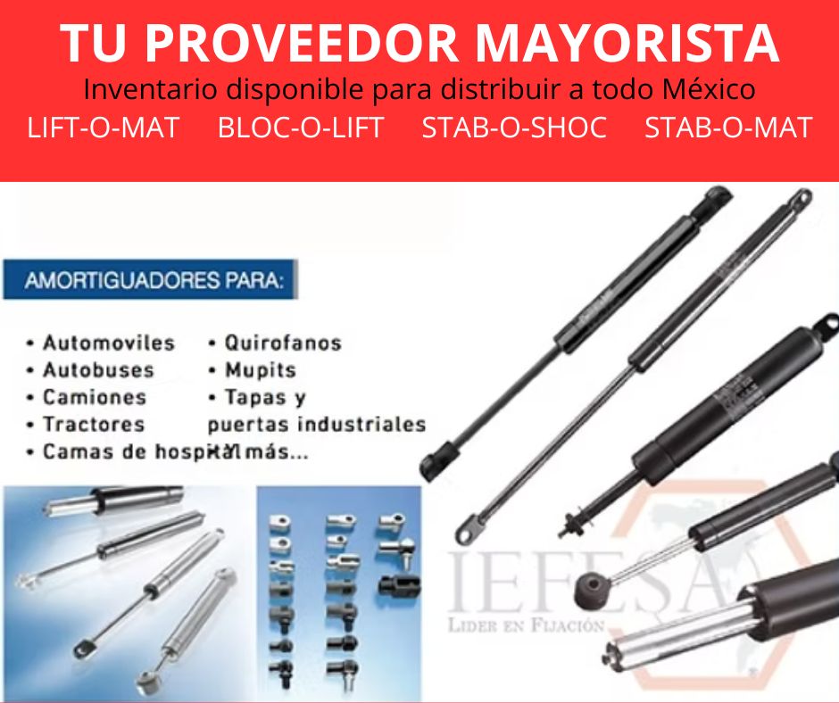 Promoción especial IEFESA México